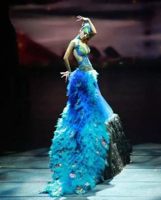 她的小孔雀,小孔雀的奇幻之旅