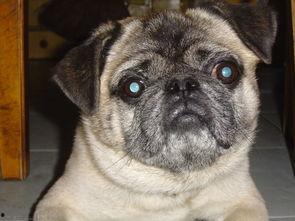 我很丑，可是我很温柔,我的独特魅力之旅